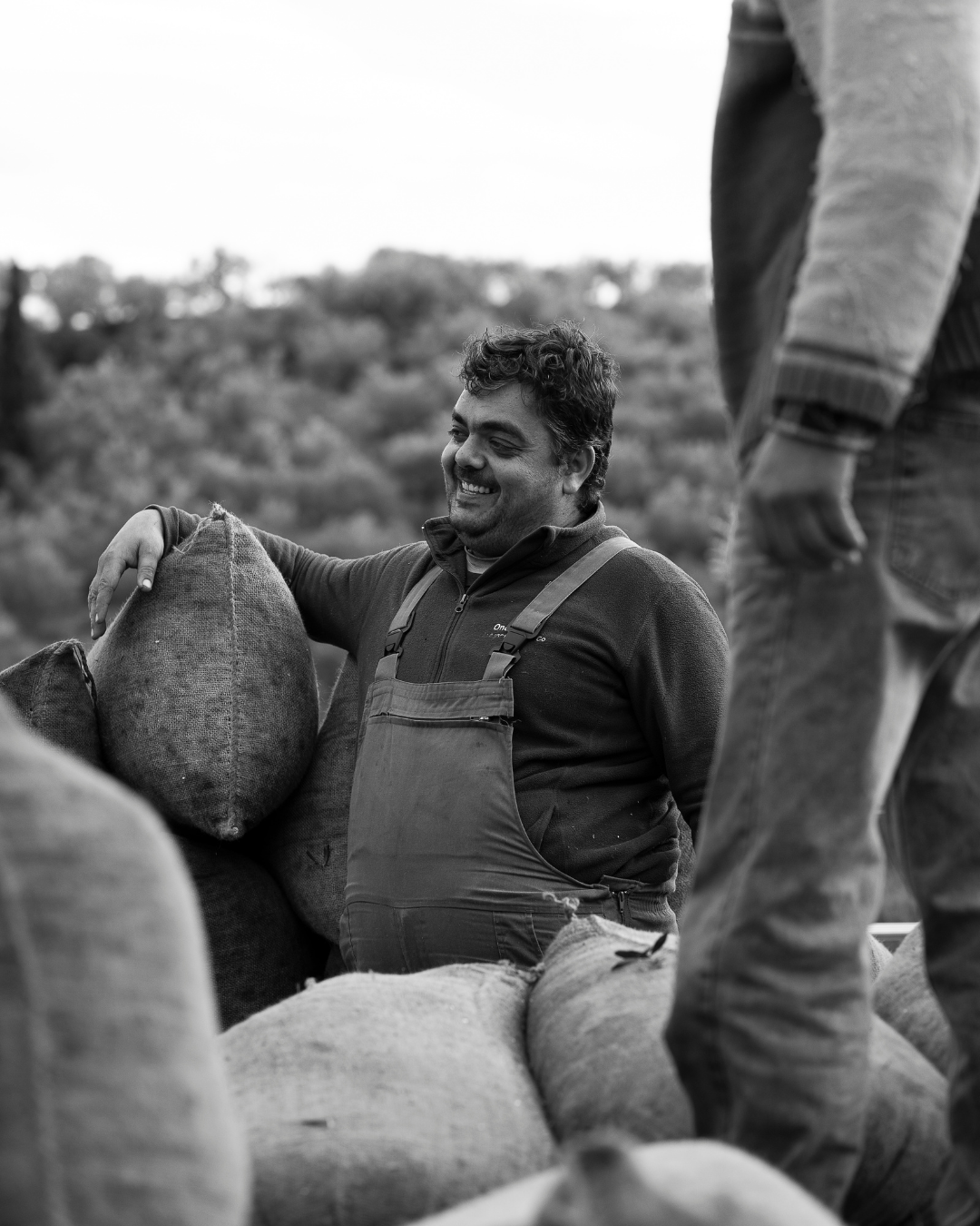 From Grove to Table: How Neolea EVOO Stays Fresh, Bright, and Full of Flavor